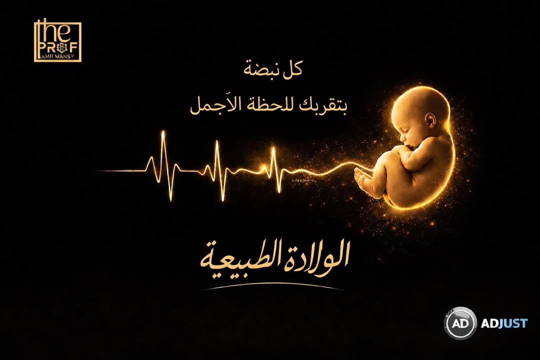 Prof.Amr Mansy - الاستاذ الدكتور عمرو منسي