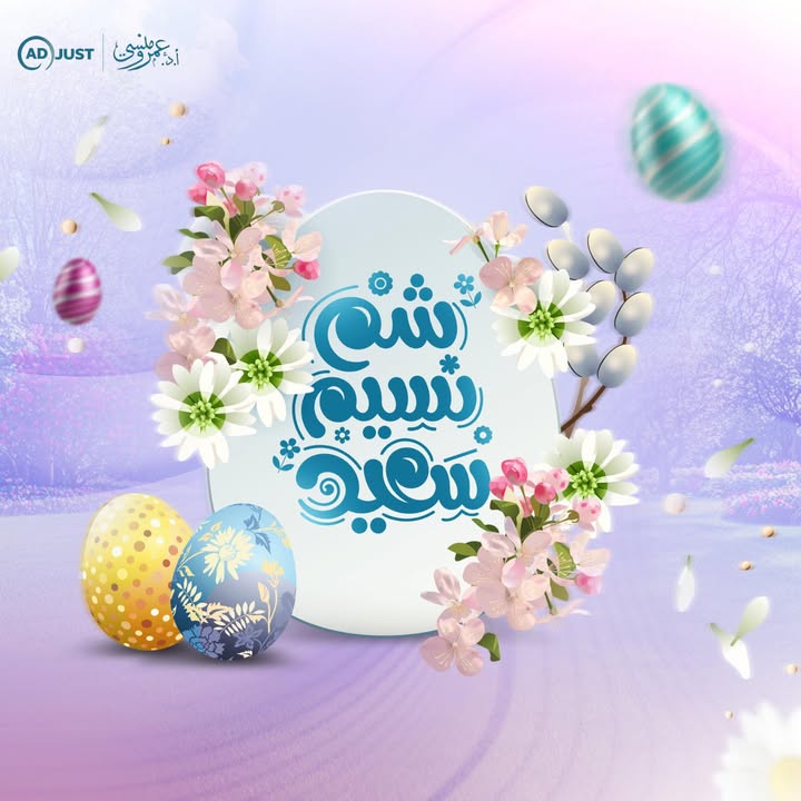 Prof.Amr Mansy - الاستاذ الدكتور عمرو منسي